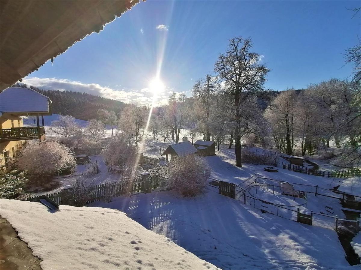 Apartment Staudachhof Althofen (Carinthia)