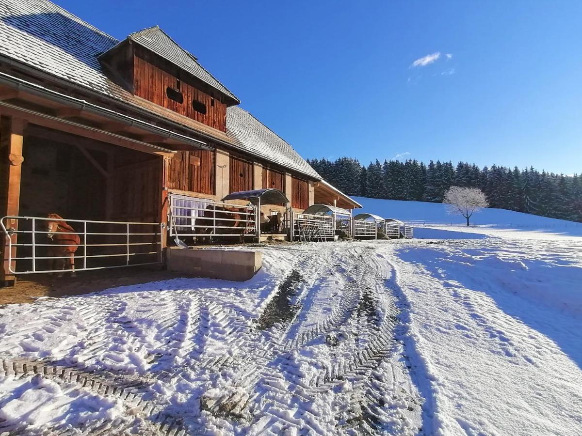 Staudachhof Apartment