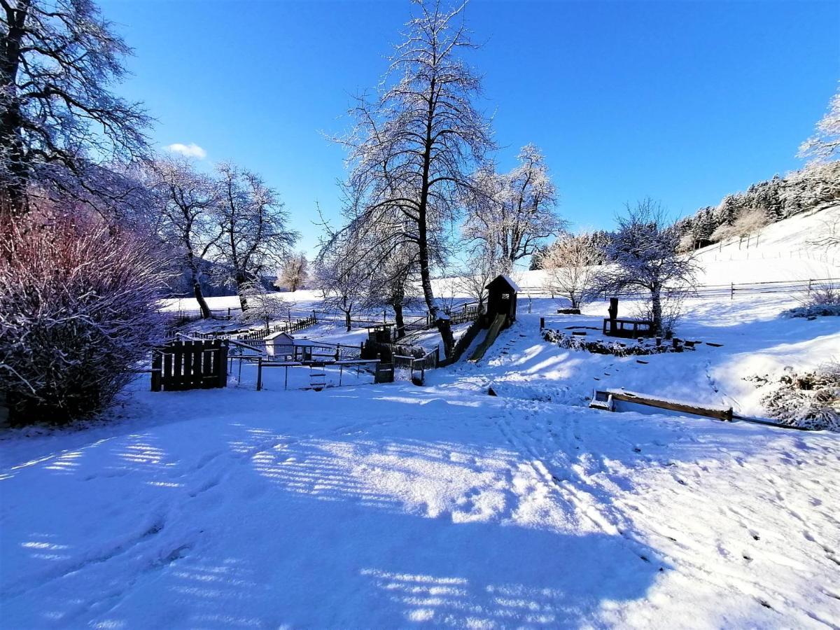 Staudachhof Apartment Althofen (Carinthia)