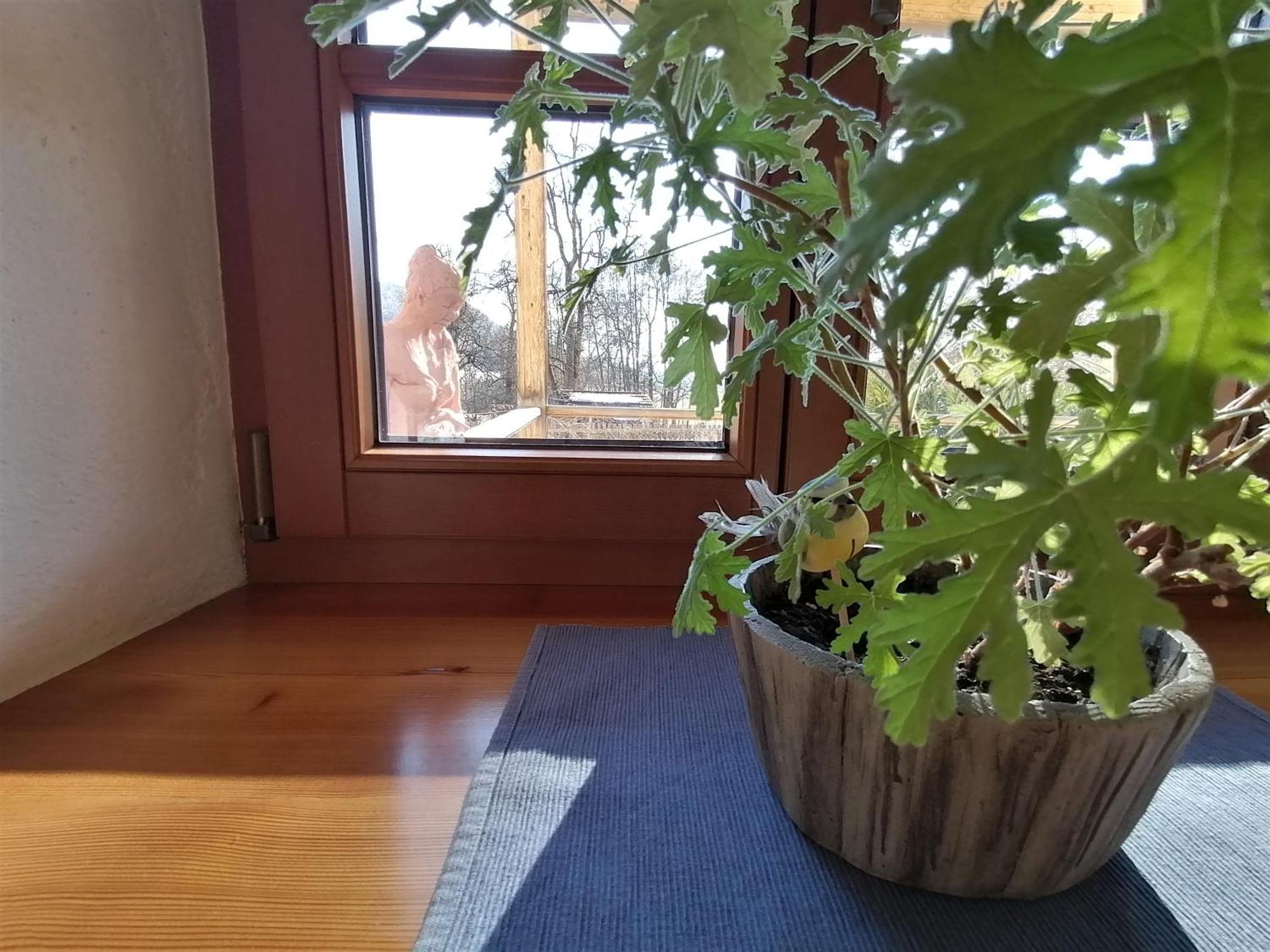 Apartment Staudachhof *